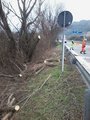 Servizi Invernali (6)